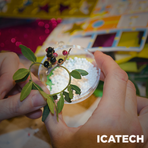 Decoración de Esferas Navideñas